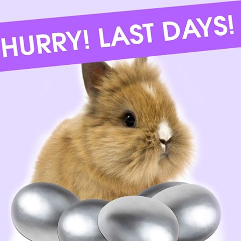FINAL DAYS! 
Our Easter sale ends tomorrow
Visit us in store or shop online 
www.thedesignstore.co.nz