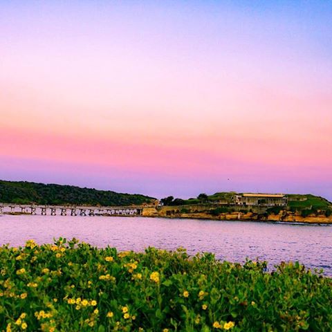 🌄
.
-
.
—
#sunset #sunsetlover #sunset_hunter #sunsets #lights #ig_color #sky #skylovers #sunsetbeach #landscape #nature #lightchaser #sydney #seesydney #australia #earthpix #sky_sea_sunset #lifeinsydney #ilovesydney