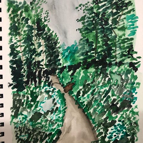 Day 21 of #WorldWatercolorMonth @worldwatercolormonth : rainforest #forest #tree #trees #rain #rainforest #green #watercolor #art #watercolour @schmincke_official