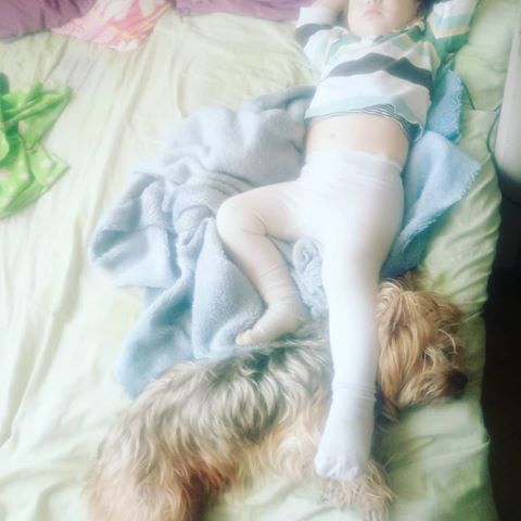 Они хорошие, когда спят и дома нет)
Нюша дружит с Артёмом, только когда:
- у него в руках есть еда
- Артём только пришёл с улицы, а собака соскучилась (наверное😂)
- он спит (вот, тут она вся с ним, на нем, под ним😜)
В остальное время, собака к ребёнку не подходит, убирает от него, а иногда, даже, рычит и кусает😬😭
#kids #kid #child #instakids #baby #babies #babiesofinstagram #instagramanet #children #childrenphoto #tiny #little #family #instababy #igbabies #дети #детишки #ребенок #очаровашки #улыбка #семья #собака #смыслжизни #мойребенок  #люблю #любовьмоя #инстаграманет #малявка #малой