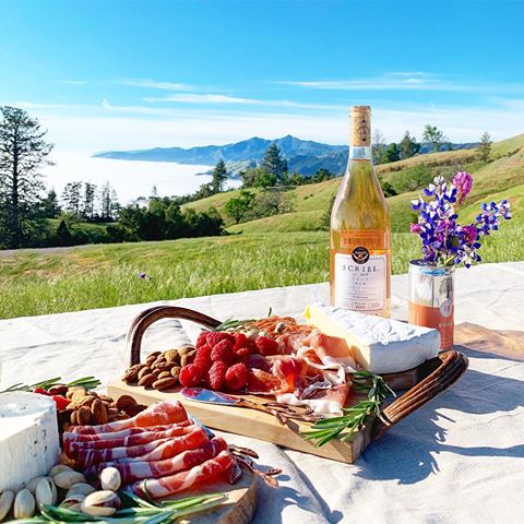 unbelievable setting above the clouds for our big sur camping weekend and picnic, complete with @scribewinery best 🏕🌸