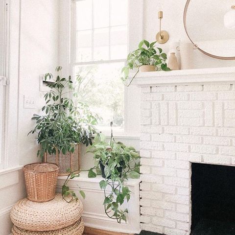 Happy Sunday, Lovelies! 
I’m proud to say that I’ve spent most the day in the wonderful world of Pinterest. Came across this photo and I’m obsessed! 
Love the white interior, the plants and most of all the rattan ottomans. 
I’ve wanted a couple for a few months now. Thinking that they need to be my next home purchase.
Anyone know the designer/ instagram account this belongs to? Id love to follow them •
•
•
•
•
•
•
•
•
•
•
•
•
•
•
•
•
•
•
•
#pinterest
#whiteinteriors 
#sparkingjoy
#bohostyle 
#joannagaines 
#myinspiredhouse 
#doingneutralright 
#interiormilk 
#theeverygirlathome 
#thatsdarling
#darlingmovement
#homeinspo 
#hometohave 
#scandinaviandesign 
#inmydomaine 
#designsponge 
#apartmenttherapy 
#howyouhome 
#blog
#lifestyleblogger 
#blogger
#littleaccountlove
#interiordesign 
#exteriors
#myhgtv
#myhyggehome 
#makehomematter 
#minimalism
#wicker
#mybohoabode