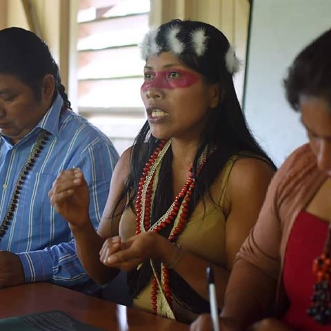 "Many indigenous nations were deceived and manipulated by the Ecuadorian government in 2012 when they entered our territories with the intention of selling our territories to oil companies. Now we must unite as Amazonian peoples - our victory isn't just for the Waorani people, it is for all of us!" - Nemonte Nenquimo, Waorani leader
This week the Waorani held an important meeting with other indigenous nations threatened by an oil auction on their territories, in order to strategize and unify their efforts to protect their forests. The Waorani are planning a big mobilization in Ecuador's capital of Quito next week - Stay tuned and sign the Waorani's letter to demand respect for the court's decision! (Link in bio)
#WaoraniResistance