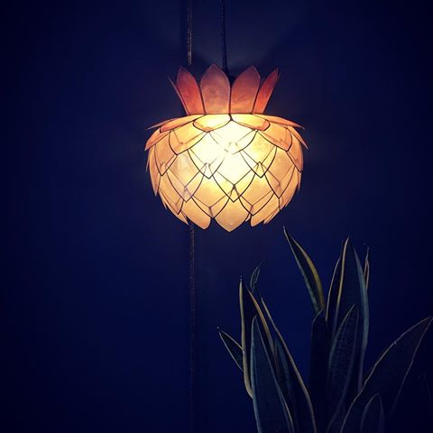 1960’s Shell Artichoke Pendant Light shade Art Nouveau
.
£49 Dm to purchase. .
#home #lighting #lightingdesign #homeware #interiordesign #interior4inspo #homedecor #renovationuk #homeinspouk #interiorinspo
