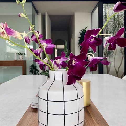 Enjoying the peace, while everyone is still 💤🛌
•
•
•
•
#modernextension #modernliving #glasshouse #plantlove #plantstyling #plantaesthetic #orchids #countryroadhomewares #indooroutdoor #indoorplantsdecor