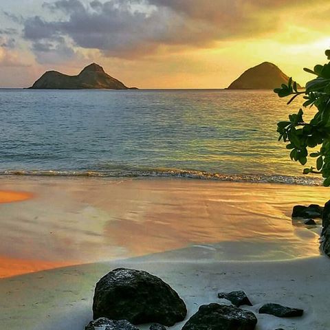 ＊『 Sea of heaven ,which celebrated the morning❇✨』Oahu🌊✨
＊
＊
＊  Aloha🌺 Good morning🌿🌿🌿
＊
＊
＊  天国の海の朝…………………………👣 👣
＊
＊
＊  素敵な週末を❇✨✨
＊
＊
＊
＊
＊
＊
＊
＊
＊
＊
＊ Have a good day 🌊✨
＊
＊
#genic_hawaii #nature #lovehawaii #hawaiilove #sky #beach #genic_mag #smile #happy #fun #vsco #genic_travel #photography #photogenic #surf #view #likeforlike #like4like #instagood #ocean #instahawaii #instagram #awesome #タビジョ #blue #sea #hawaii #sunrise #ハワイ #ハワイ好きな人と繋がりたい