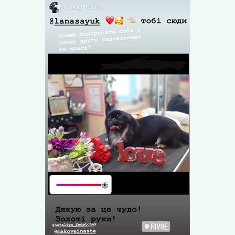Thanks @olena_fd for feedback! 🤗🐶🤩😍💕
.
.
My contacts:
📲 +380⃣9⃣6⃣19 91 642
tel / Viber / Telegram / Direct / WhatsApp; 
e-mail / Hangouts: lavariss@gmail.com
.
.
#dog #пекинес #Max #Максик #pet #blackdog #пекинесытакиепекинесы #pekignese #pecines #犬 #狗 #canem #beautifuldog #пекінес #instadog #petstagram #pekignese #doglife #北京語 #pekingo #北京人 #pokemon #instadog #dogoftheday #instapekinese #pekinesgram #rivne #рівне #стрижкасобакРівне #LanaSay©