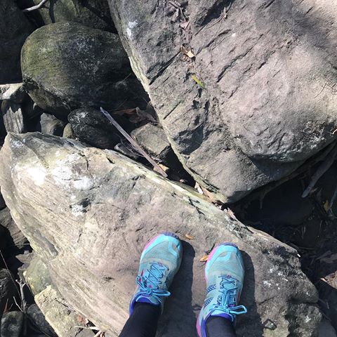 One last long run before UTA - 25km Anzac Day Challenge in St Ives. 25km is a new distance for me, so very exciting. #trailrunning #sydney #newsouthwales #vegan #kuringgaichasenationalpark