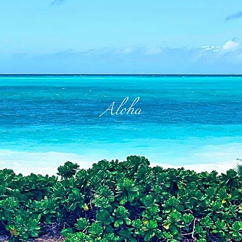 ＊『 Temporary calm afternoon 』Oahu , Hawaii🌺
＊
＊
＊  Aloha 🌺🌿🌿🌿
＊
＊
＊  ゆっくり……
＊
＊
＊
＊
＊
＊
＊
＊
＊
＊ Have a nice day 🌊✨
＊
＊
#genic_hawaii #nature #lovehawaii #hawaiilove #sky #beach #genic_mag #smile #happy #fun #vsco #genic_travel #photography #photogenic #surf #view #likeforlike #like4like #instagood #ocean #instahawaii #instagram #awesome #タビジョ #blue #sea #ハワイ #海 #オワフ島#ハワイ好きな人と繋がりたい