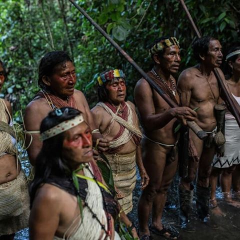 60 Powerful Photographs of a Historic Victory for the Amazon
The Waorani people's recent legal victory, protecting half-a-million acres of their rainforest territory from oil drilling, didn't just happen overnight. Delve into the story here: (link in bio)
#WaoraniResistance