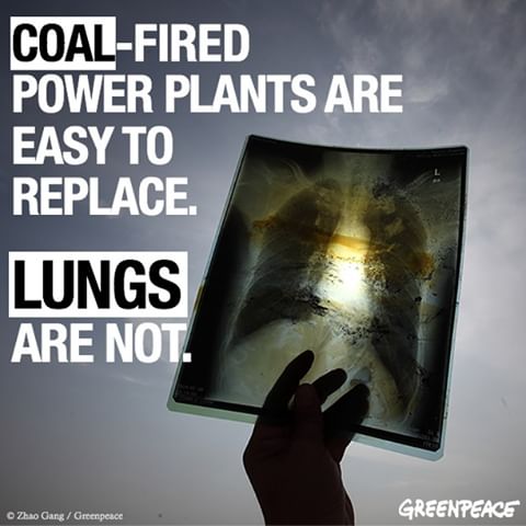 Air pollution causes cancer, stroke, heart disease, memory loss and more than 8 million deaths worldwide per year. .
When it comes to the air that we breathe, we can’t afford to delay action. On this #WorldEnvironmentDay, there is an urgent need to transition away from polluting fossil fuels and opt for clean energy solutions!
.
.
.
.
#greenpeace #nature #keepitintheground #SayNoToCoal #climatecrisis #climatechange #fossilfuels