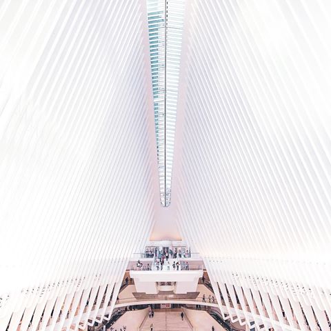 🇺🇸 New York - USA
🏙 This place is simply amazing!! Tag someone who loves NYC♥️
.
Follow @Fly.to.Earth
.
#NY #nyc #oneworldtradecenter #oculus #skyscraper #usa #manhattan #us #wanderlust #travel #instapassport #instatraveling #mytravelgram #travelgram #travelingram #igtravel