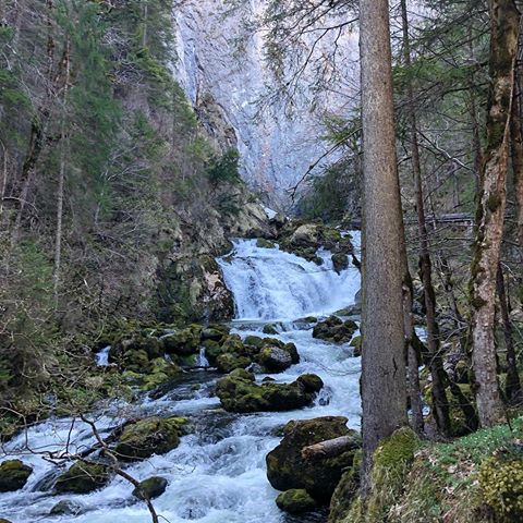 Vodopád 😍🌲 #pießlingursprung #ursprung #wasserfall #waterfall #vlese #forest #wald #nature #naturelover #austria  #dnesfotim #dnescestujem #dnesvyletujem