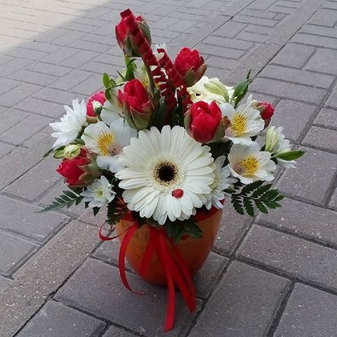 Всем кто смотрит,привет!🙋🌷🍀🌷🍀🌷🐞
#цветы#флорист#flower#florist#floristic#flowerslove#flowerstagram#instaflower#love#followme#likeme#ff#bouquet#
