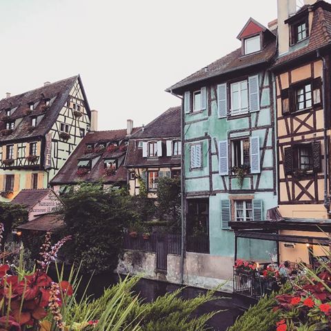#colmar #france #old #village #charming #alsace #history #wood #house #river #flowers #art #shooting #picoftheday