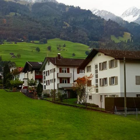 From the train window...I'm pretty sure the grass is greener there. 10/16 .
.
. .
.
.  #switzerlandwonderland #switzerland_bestpix #switzerland_vacations #switzerland_destinations #switzerland🇨🇭 #swissalps🇨🇭 #swiss_views #swisstourism #swissvillage  #alpsmountains #alpinelove #mountainlove #europe_best #eurotravel #europeanvillage #europe_gallery #insta_gallery #insta_switzerland #kings_village #worldtravelpics #keeponkeepinon #world_shotz #worldtravelpics #world_travel #travelersdiary #wanderluster #traveltheglobe #solotravelling