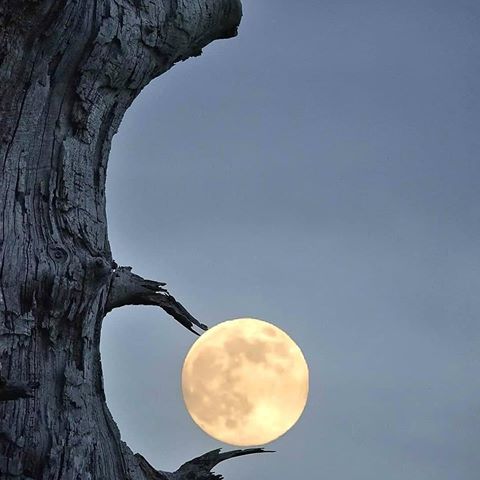 #луна #ночь #небо #красиво #одых #луна🌙 #ночь🌙 #красиво😍 #фотодня📷 #природа #пейзаж #природа🌿 #пейзажи #наприроде #красивыйвид #красивыеместа #красивоефото #beautiful #wild #sunset_universe #sunsetloversgram #sunset #flovers #nature #naturegram #travelgram