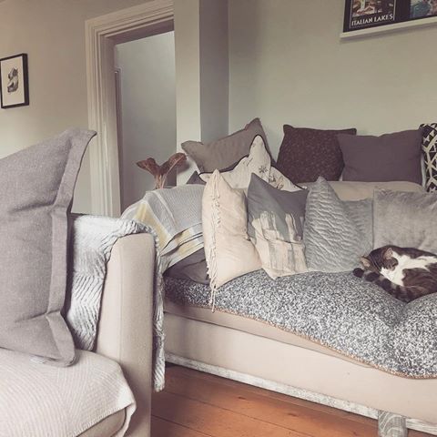 • Day 28 - @myhousethismonth sofa time - @storyofmyhome true colours | sofa time for Billy and my true colours are that I’m a cat lover more than an insta styler as I couldn’t bear to straighten the throw or the cushions around Billy for fear of disturbing him 😂 • 
_________________________________________________ • #cotswoldscottage #interiorwarrior #storyofmyhome #sofainspo #myhouseandhome #postitandsmile #interiors123 #interior444 #interiorsuk #countrycottage #cottagestyle #cottagedecor #myhousethismonth #myperiodhomestyle #greathomestaketime #neutralhome #actualinstagramhomes #mystylednest #faffthegaff #pocketofmyhome #interiorstyling #stylishhomevibes #mygorgeousgaff #designsponge #homeinspo #myfabhome #interior_and_home #catsofinstagram #cushionsandthrows #unstyled •