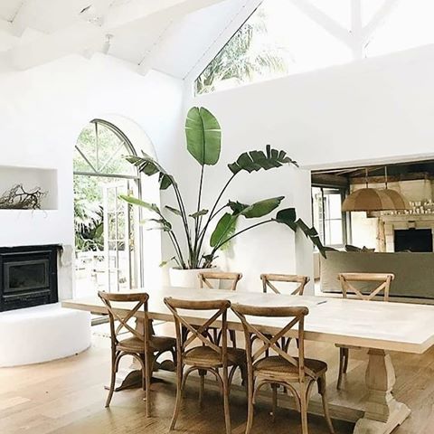 Our world is filled with beautiful homes made with nature in mind such as this one by  @littlepalmnewport 🌴 .
.
.
.
#interiorinspo #interiorstyle #interiordesign #naturalinteriors #tropicalstyle #tropical #tropicalvibes #whiteonewhite #whitehome #whitedecor  #sydney #newport#interior123 #interior4you1 #naturalinterior #naturalliving #homedecor #homedecor123 #beautifulhomes #naturaldecor #homeinspo #tropicalhomes #passion4interior #inspotoyourhome
