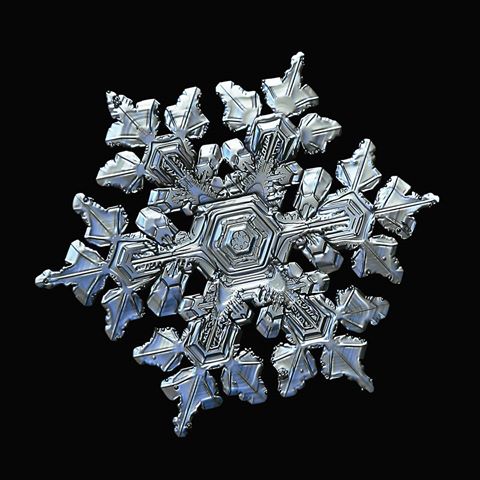 Real snowflake macro photo: small star plate with glossy, relief surface and complex inner details.
Snowflake prints (wall art, phone cases, t-shirts, coffee mugs and more) are available - link in profile.
#snowflake #snowflakes #ice #crystal #nature #natural #macro #macrophotography #closeup #microscopy #snow
