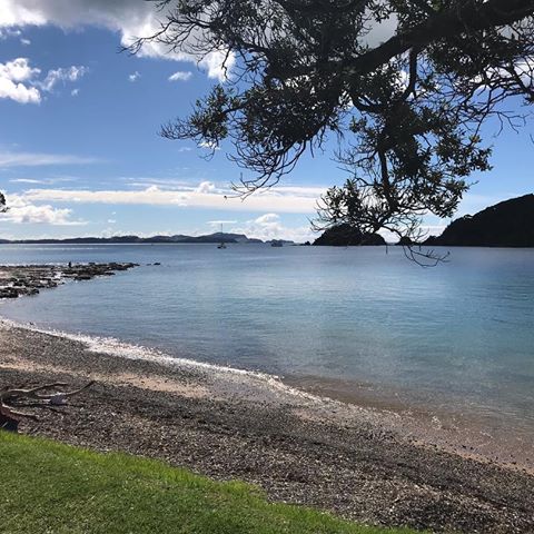 It’s such a hard life being in the Bay of Islands in New Zealand. It’s heading into winter and it’s 24 degrees and the sun is shining 😉🤗