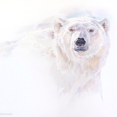 Artwork by @davidmceown | “Polar Bear , #7”, 22 x 30 inches , watercolour.
Thrilling to be on lookout for polar bears along the ice edge. Sometime we are lucky and a curious bear will visit the ship before moving on, often hunting for seals. 
This painting was a demonstration for a workshop i conducted  in which  we investigated colour, and technique while I shared some  bear encounter stories from  expeditions observing  and sketching  these amazing animals in their natural  habitat.  Really looking forward to return to the arctic this summer.
Follow David  @davidmceown for more watercolour paintings and stories behind the scenes.
#bear #polarbear #polarbearart #arctic #explorethearctic #wildlifeart #wildlife #amimalart #watercolor #watercolour #watercolorpainting #artworkshop #artdemo #conservation #climatechange  #cangeo  #watercolorartist #watercolor_zone #acuarelle #aquarelle