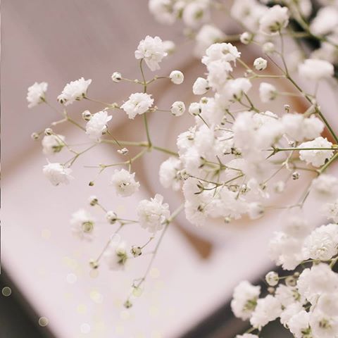 #ₕₒₘₑₜᵢₘₑ
.
.
.
.
.
.
.
.
.
#flowers #blossom #nature #books #candle #hygge #Canon #vsco #cozytime #cozy #howihome #spring #цветы #дом #happy #gypsophila #уютно #весна #beautiful #naturephotooftheday #flowerphotos #momlife #homestyle #красиво #flowerspowers #livethelittlethings