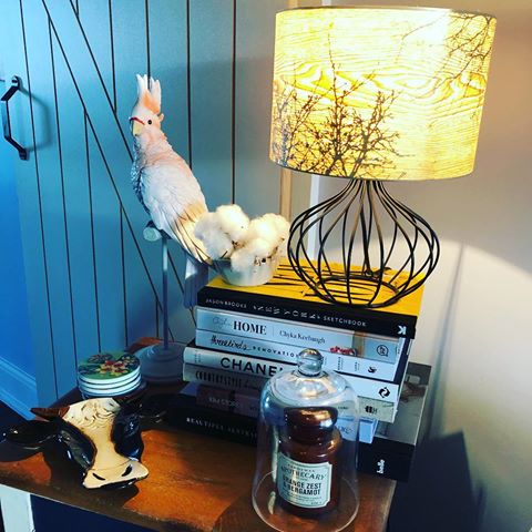 How GORGEOUS is my 🐄cows head 🐄 dish, gifted to me by a sweet friend?! 🤗🥰 He is very cute❣️☺️ Found at one of my faves,@village_antiques_bungendore 🥰🥰🥰🥰🥰🥰🥰🥰🥰
.
.
.
.
.
#homedecor #homestyle #candles #homestyling #homedecorating #candleholders #room #furniture #interior #interiordesign #interiordesigner #interiordecorating #interiordecorator #lamp #interiors #interiorstyling #sidetable #homerenovation #candlelover #candle  #cows #resto #homeproject  #cow #livingroomdecor #sidetabledecor #coffeetablebook #deers #diningroom @chykak @threebirdsrenovations @paddywaxcandles @maxwellandwilliamsofficial @micky_and_stevie @adairs