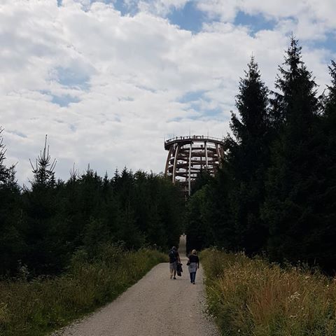 Treetop walk.
Highlight of the walk is the 39 meters high tower, which offers an overwhelming view from the rom the top platform of the tower to Traunsee, Salzkammergut and the mighty Dachstein. Visit of the treetop walk will take about 1 hour.
#travelbug_vienna #triptoaustria🇦🇹 #europetrip #placestovisitinaustria #gmunden #treetopwalk #trekkinginthealps #activeholiday  #austrianalps🗻 #tripplanner #tripplannerinaustria #travel #visitaustria #travelwithkids #funforeveryone #funforfamily #familyvacation #activeholiday  #австрия #отпуск #отдых #активныйотдых #активныйотдыхсдетьми #добропожаловать #посетитеавстрию
