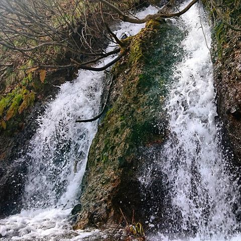 雪解け水がドバドバ、滝のよう
#雪解け #雪解け水 #滝 #waterfall #nagano #長野 #アウトドア #outdoor #trekking #トレッキング