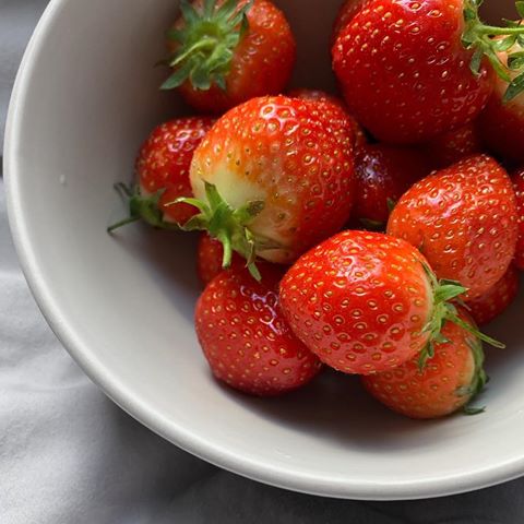 soon 🍓
.
.
.
#food #strawberries #fruit #vegan #veganlifestyle #daily #dailystyle #simple #mood #aesthetic #minimal #minimalism #minimalistic #art #palette #pastel #mono #monotone #monochrome #tumblr #tumblrposts #tumblrstyle #tumblraesthetics #tumblrworthy #photography #visual #ourcolourdays #ourmoodydays #agameoftones #visualvibes