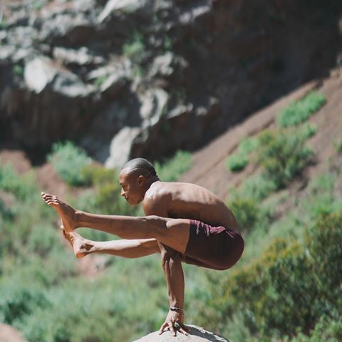 “There is no competition in yoga. There is only breath, body, mind and movement.” - source unknown ✨
@andrew7sealy inspiring us with amazing strength in his Regenerate Short 💪🙌 #aloyoga #yoga