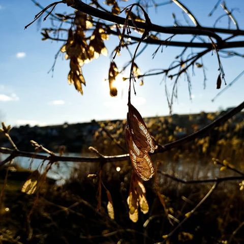#загородом #пейзаж#природа #небо#деревья #листья #весна #inthecountry #draussen#nature #dienatur#landscape#landschaft#rusland#russia#sky#himmel #trees #baume #spring #frühjahr #leaves #laub