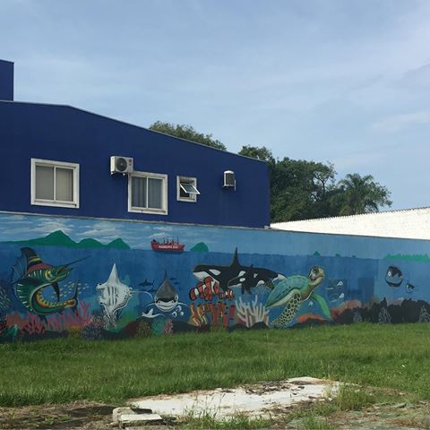 Amo os grafites/murais da minha cidade! <3 #PontalDoParaná #PontalDoSul #Grafite #Mural #Oceano #Ocean #Sea #Mar #Orca #Turtle #Shark #Brasil #Brazil