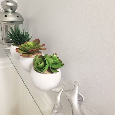 Can you believe that these little #artificialsucculents are from the #dollarstore? The little pots are actually ceramic! They just go perfectly in my windowless powder room. .
.
.
.
#interiordesign #bathroomdecor #bathroomremodel #bathroominspo #homedecor  #smallspaceliving #smallspace#interiordesign #interiors #interiorstyling #design #decor #interiordecor #home #homedesign #interiorandhome #interiorinspo #interior_and_living #decoration #interiorinspiration #myhome #powderroom #picoftheday #photooftheday #photooftheday #lovely #dollarstoredecor #dollaramadoesitagain #dollaramafinds #dollarama