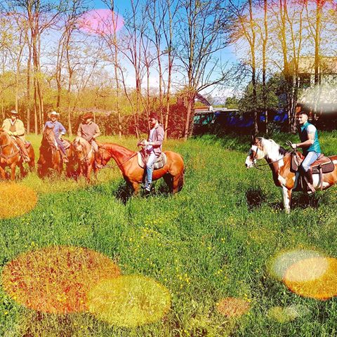 #horseriding #cowboy #countryboy #countrylife #western #style #horseofinstagram #ranch #farm #field #nature #rider #amazing #grace #countrysong #sunset #horses 
#naturelovers #horselover #equestrian #countrymusic #italianboy #madeinitaly #wood #fitboy #westernstyle #westernhorse #westernriding #western