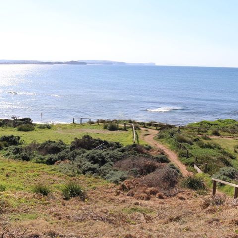 Sunday’s coastal walk #LongReef #sundayslowdown #golf #InstaTravel #Travelgram #TravelLife #igtravel #travel #australia #sydney