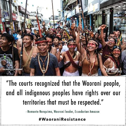 The Waorani's legal victory, protecting half a million acres of their land from oil, is a HUGE win for indigenous peoples across the Amazon. This significant precedent is set to galvanize the protection of nearly 7 million acres of indigenous territory under threat from oil auction in Ecuador's Amazon, a critical stronghold in the battle against climate change.
Help send a message to the Ecuadorian government as part of the Waorani's letter demanding respect for the court's decision (link in bio)
#WaoraniResistance