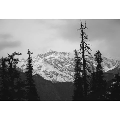 black forest and white mountains are filling colours to b/w landscape.
.
.
f/5.6 : 1/250 : ISO800
#uttrakhand #uttrakhandbeauty #blackandwhite #canon700d #canon #canonphotography #indianphotography