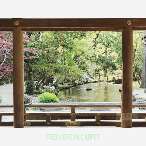 週末に京都に行ってきました。
始めて行った上賀茂神社、新緑が綺麗でした。
願い石も触ってきて、願い事が叶うといいなと思います。
素敵な神社でした^_^
.
しもやんで なえ いずる
fresh green carpet
.
穀雨 次候 17候
.
#二十四節気 #七十二候#穀雨
#しもやんでなえいずる #霜止出苗
#次候  #17候
#農事暦 #季節のことば #72候2019
.
#京都 #kyoto 
#上賀茂神社
#flowers #flowerstgram 
#instagood #instaflower 
#instalike
 #tv_stilllife 
#tv_stilllife_gallery  @tv_stilllife #stilllifegallery 
#tv_stillife  #hygge  #the72seasons
#花のある暮らし#花のある生活
#フォトスタイリング 勉強中#Olympus 練習中