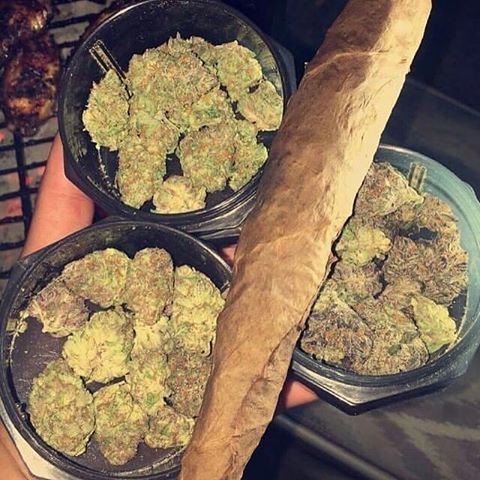 #legalize #cannabis #weed #marijuana #cannabiscommunity #thc #cbd #ganja #weedporn #hemp #ganjagirls #smokeweedeveryday #hash #weedstagram #sativa #smoke #wax #joint #indica #stoner #instaweed #cannabisculture #stonernation #society #hightimes #cbdoil #pot #shatter #art #bhfyp.