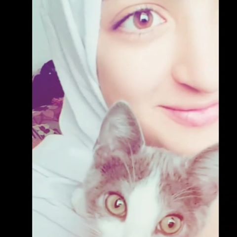 Who loves cats like me ? 😍😍😍😍😍😍
.
.
.
#cat #cats #catwoman #catstagram #cats_of_instagram #catlover #catlover #morocco #meknes #tanger #casablanca #rabat  #agadir #hijab #hijabstyle #hijabinspiration #hijaberscommunity