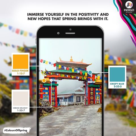 Bring the colors and spirit of the peaceful Tawang, right to your doorstep with Indigo Paints. #BeSurprised #ColoursOfSpring
.
.
.
.
#Paints #Colours #ColourScheme #LookAtThoseColours #InteriorDesign #HomeDecor #Decor #Interior #PastelColours #ColoursOfTheDay #instaColour #InstaHomeDecor #HouseDecor #HouseInterior #Painters #PaintOfTheDay #PaintColours #InteriorStyling #InteriorHome #WallPaint #HousePaint #housepaintingservices