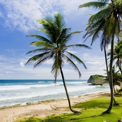 Пляж на Барбадосе
#барбадос #путешествие #travelling #traveler
#wonderfulindonesia #globetrotting #instatrip #ilovetravel #tourist #travelphotograpy