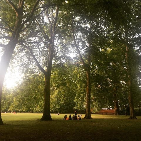 A summer evening in Green Park 🍀 #park #summer #greenpark #tree #trees #london #friendship #2019 #uk