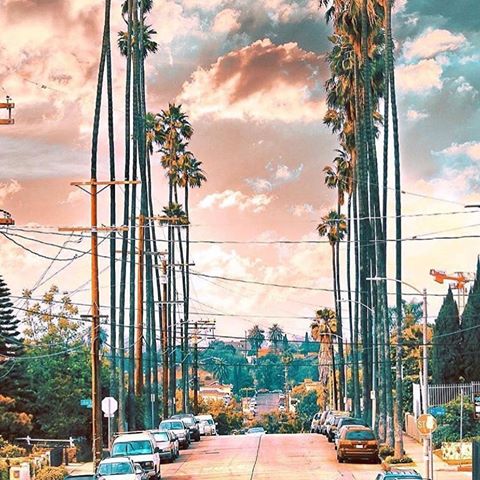 👉🏻LA 👈🏻🌴 #losangeles#losangelesworld#losangelescity#california#californialove#cali#followme#instafollow#instalike