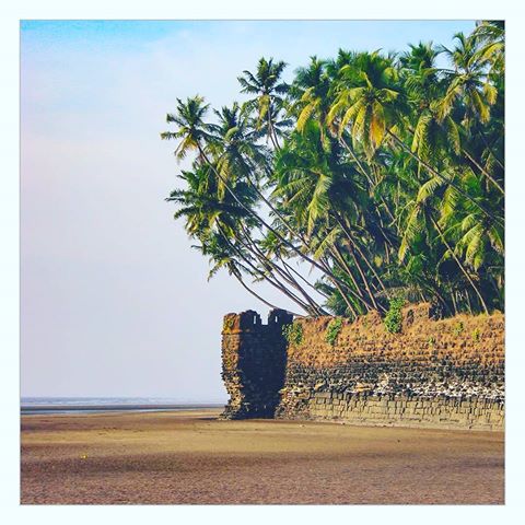 For nearly 500 years, the Revdanda Fort has survived the sea and everything it brought along. It was built by the Portuguese in the 16th Century, and survived several attacks before being taken over by the Marathas and eventually the British. Today, getting there is a lot less painful: it's a short drive from #Alibaug on the way to Murud (120km from #Mumbai). The only real risk is being waylaid by the delicious homely seafood you get at the many "khanavals" in the villages of Revdanda and Chaul. 
Thanks to @explore.serenity for sharing this beautiful photograph.
#konkandiaries #Konkan #forts #fortsofmaharashtra #fortsofindia #incredibleindia #travelphotography #beachscenes #india #shotoftheday #maharashtra #coasttocoast #ourplanet #wonderfulworld
