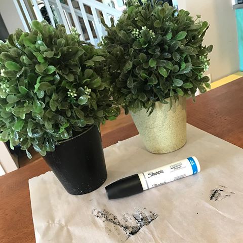 Another crafty tip by Holly 😉 Fake plants are all the rage (thanks Joanna 😘) but they can be freaking expensive especially if they have a cute, trendy pot. So the good ol' Walmart had these for $4 each 😳 yep...really but the pot wasn't the cutest. So enter in my trusty Sharpie and now we got black pots 🙌 🌱💚🌿 #craftymomma #makeitwork #onabudget #bookshelfdecor #springtime #greentime #rootsandwingscreations