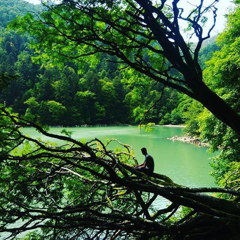𝔸𝕠𝕦𝕥'𝟙𝟠 #france #alsace
📸@claire_manet 
#schiessrothried #lake #forest #tree #landscape #nature #hiking #trekking #backpacking #travel #fishing #photography #photooftheday #vosges #green