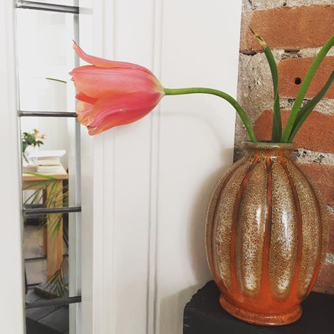 Ｒｅｌａｘｉｎｇ ｓｕｎｄａｙ
Koningsdag was geslaagd! Hoe was die van jullie? Vandaag lekker genieten van ons relaxed dagje!
Had nog een geknakte tulp in de oranje vaas gezet! Zo fijn om binnen nog van te genieten! 
#koningsdag #sunday #relaxingsunday #tulp #tulip #glasinlood #vintagemeubels #vintagestyle #oldstyle #jaren30huis #123interior #bijmijthuis #tweedehands #kleurinhuis #myinterior #myhome #binnenkijken #mldrsln #colorfulliving #mycreativeinterior #instainterior #thuis #home #wonen #interior4all #lifestyle #instahome #colors